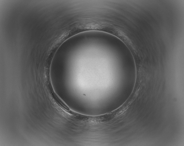 X0000052640305200507011353