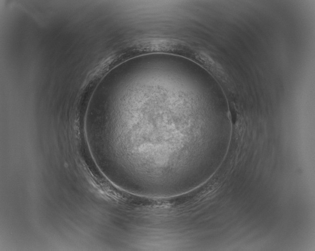 X0000052640306200507011353