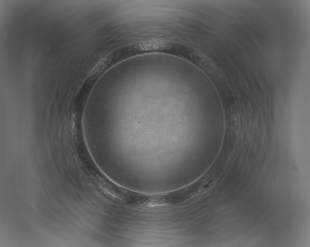 X0000052640308200507011353