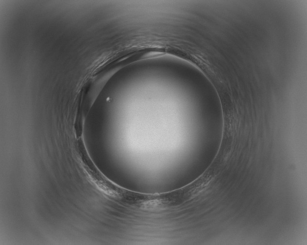 X0000052640309200507011353