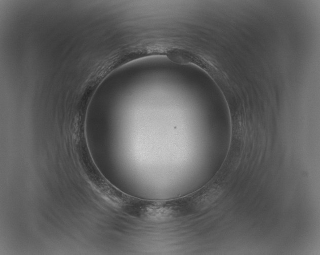 X0000052640311200507011353