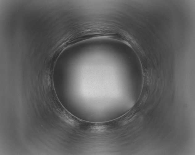 X0000052640313200507011353