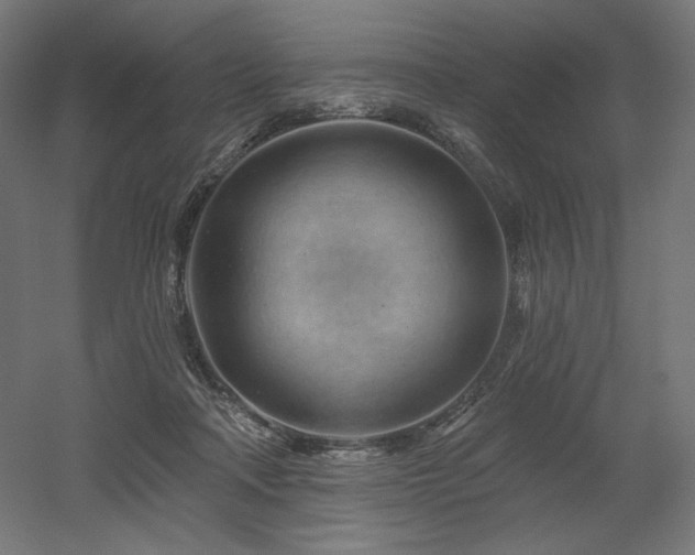 X0000052640314200507011353