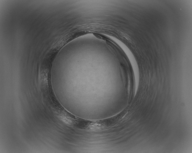 X0000052640315200507011353