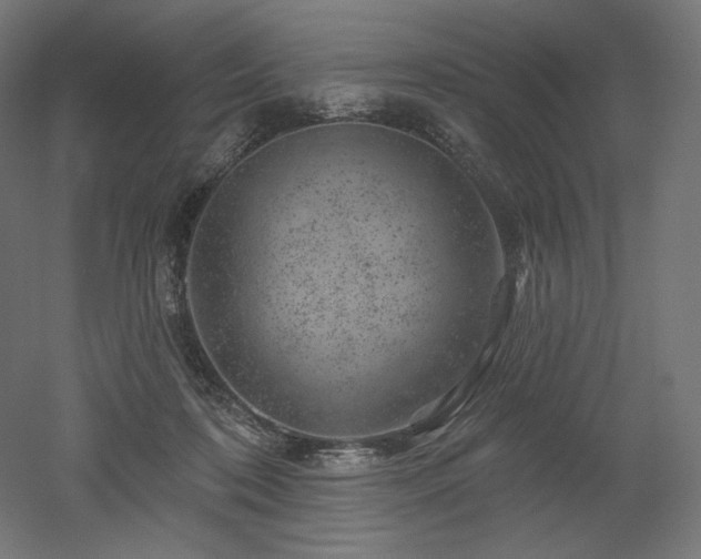 X0000052640316200507011353