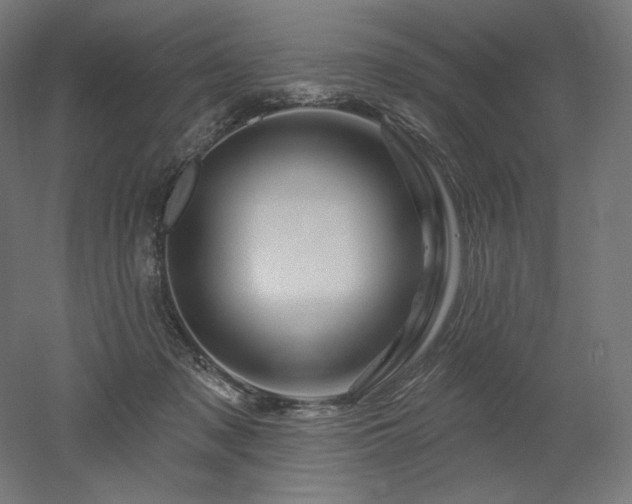 X0000052640317200507011353