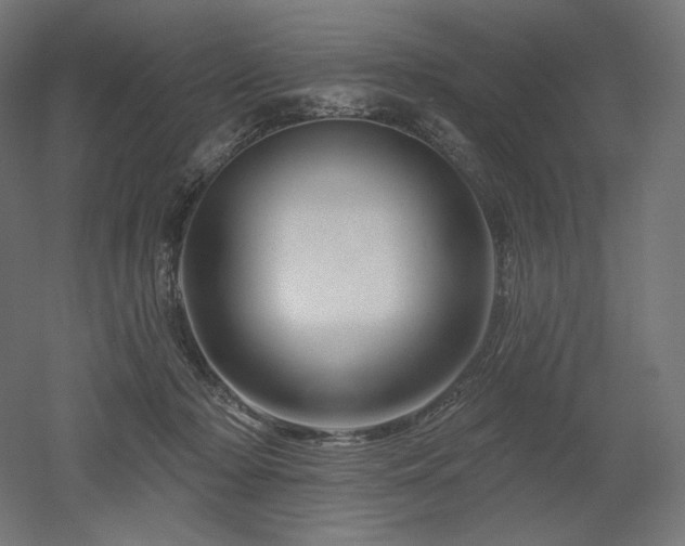 X0000052640318200507011353