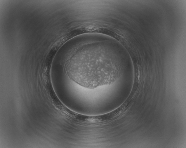 X0000052640319200507011353