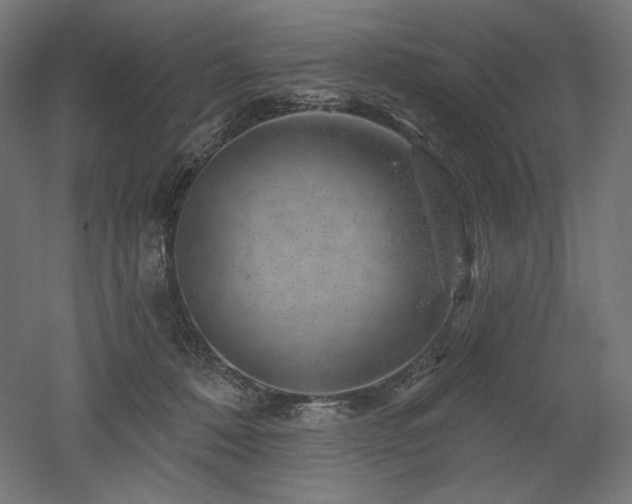 X0000052640320200507011353