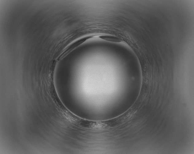 X0000052640321200507011353