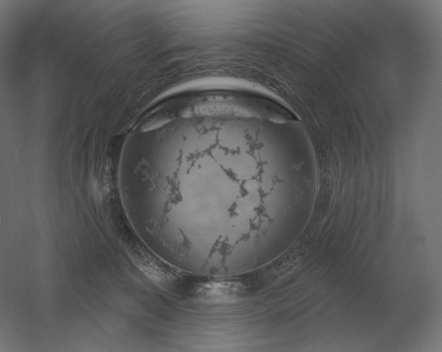 X0000052640323200507011353