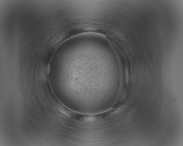 X0000052640325200507011353