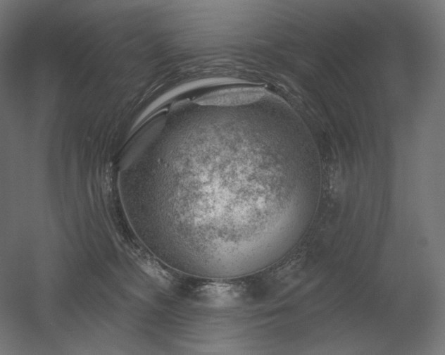 X0000052640326200507011353