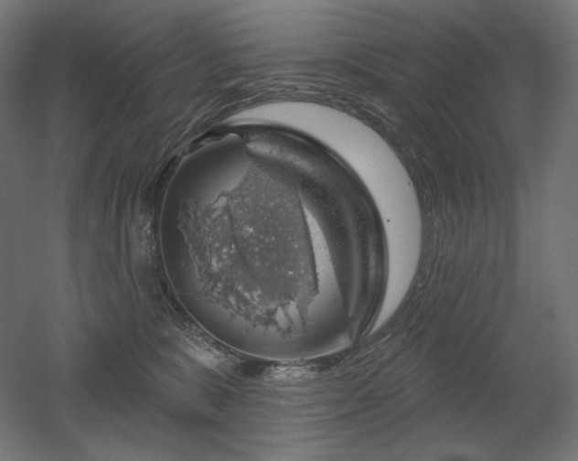 X0000052640327200507011353