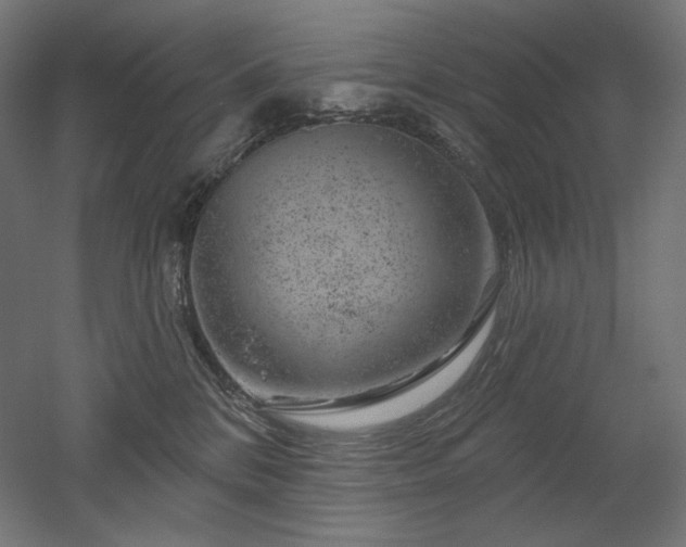 X0000052640328200507011353