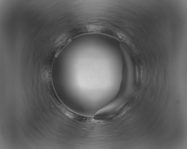 X0000052640329200507011353