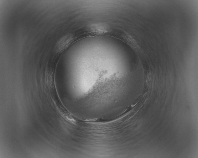 X0000052640330200507011353