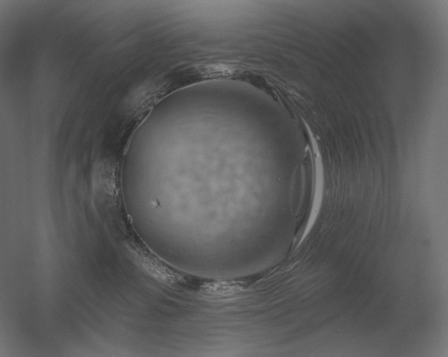 X0000052640331200507011353