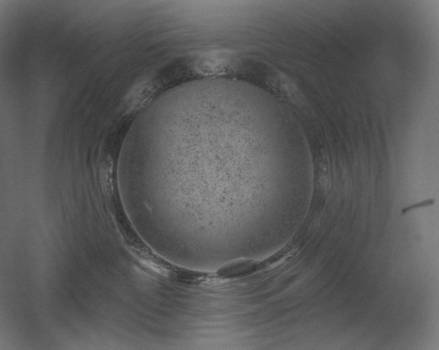 X0000052640332200507011353