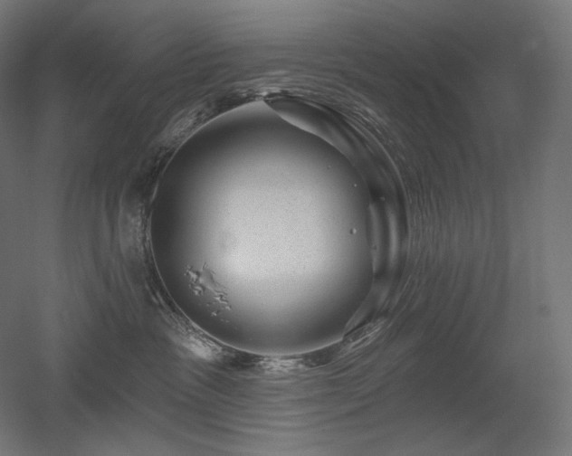 X0000052640333200507011353