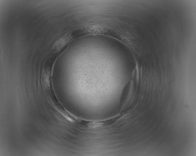 X0000052640334200507011353