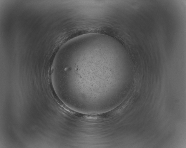 X0000052640336200507011353