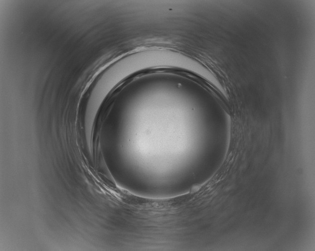 X0000052640338200507011352