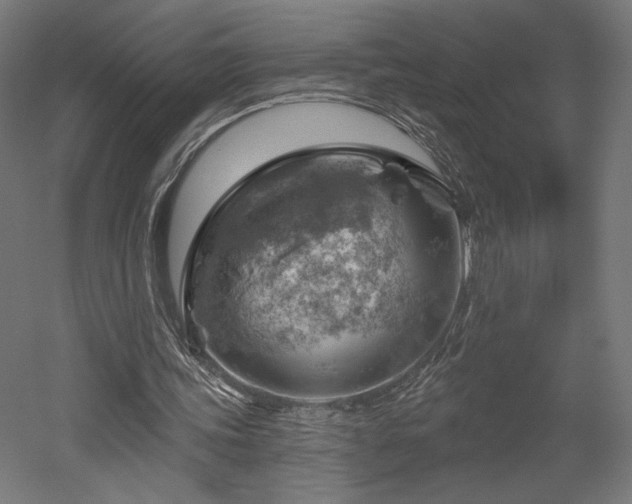 X0000052640339200507011352