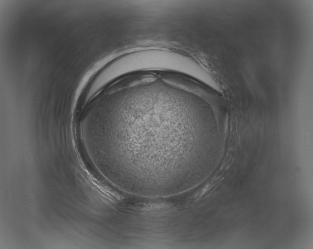 X0000052640342200507011352