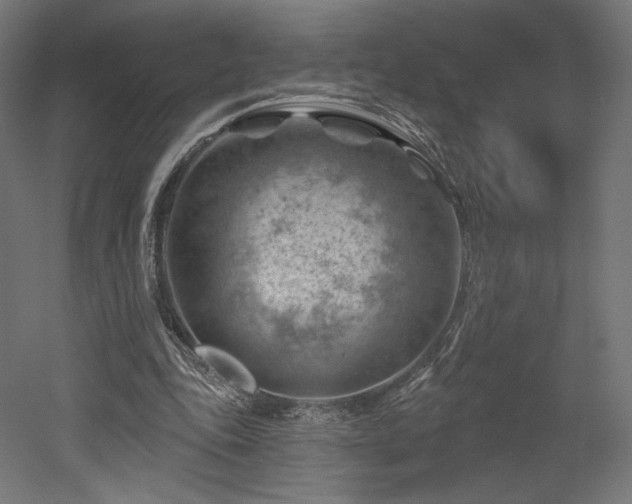 X0000052640343200507011352