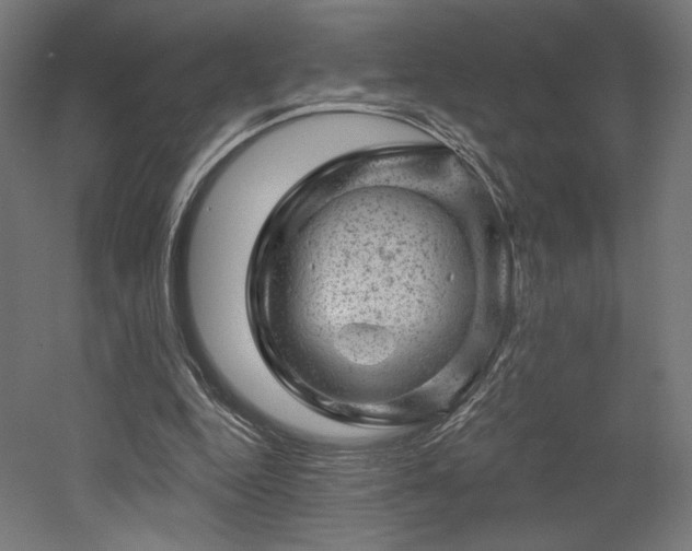 X0000052640344200507011352