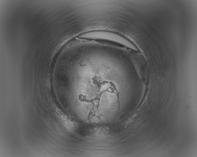 X0000052640345200507011352