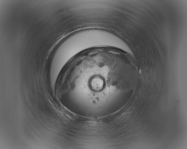 X0000052640347200507011352