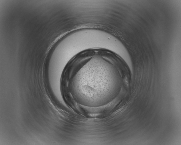 X0000052640348200507011352