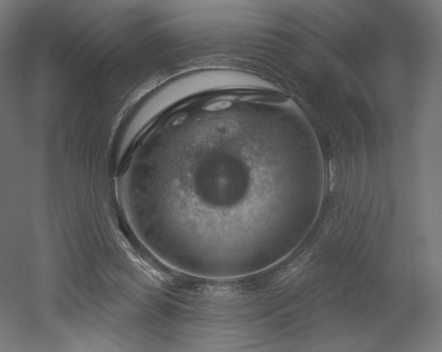 X0000052640349200507011352