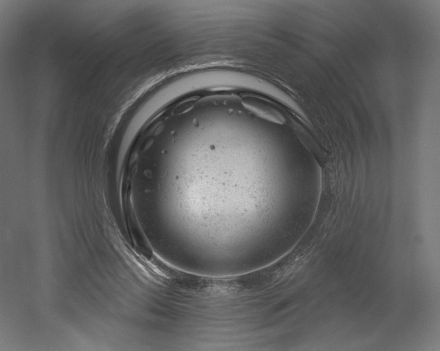 X0000052640350200507011352