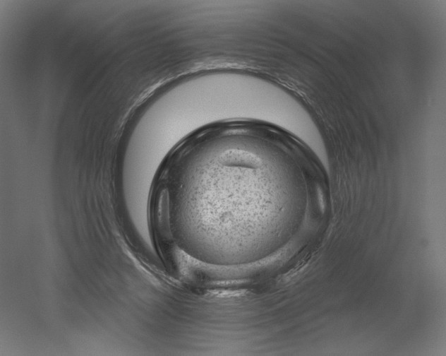 X0000052640352200507011352