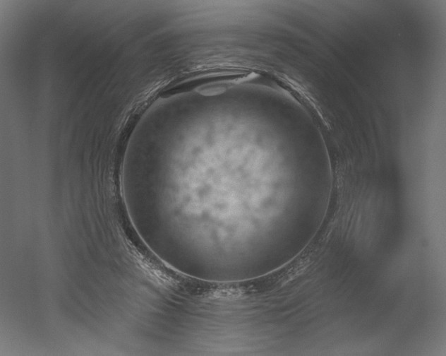 X0000052640353200507011352