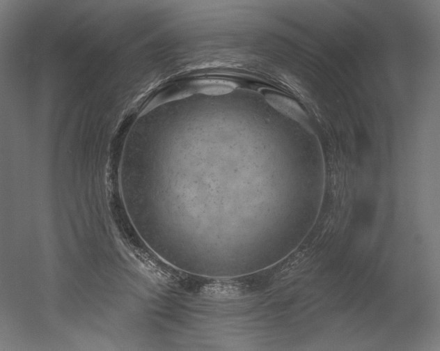 X0000052640354200507011352