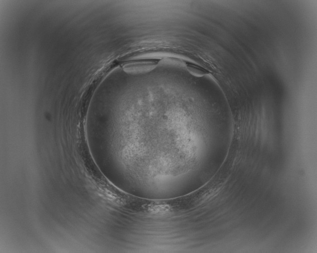 X0000052640355200507011352