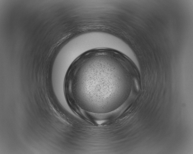 X0000052640356200507011352