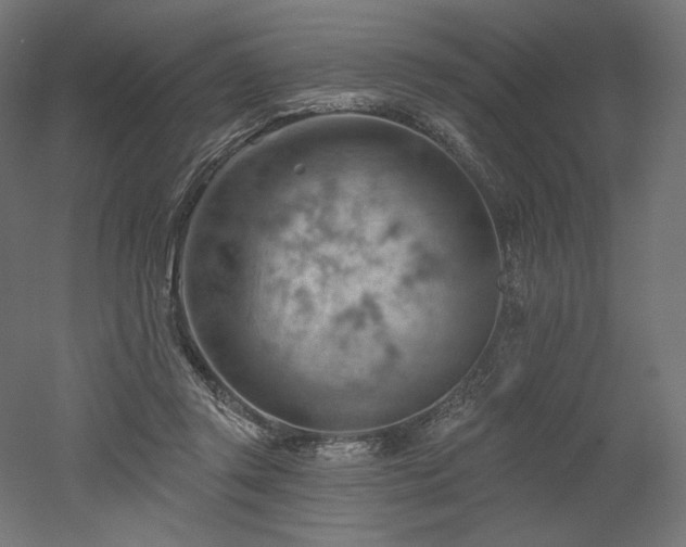 X0000052640357200507011352