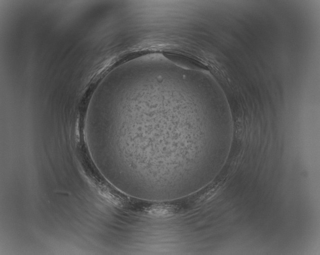 X0000052640358200507011352