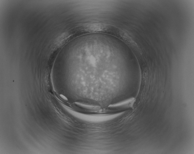 X0000052640359200507011352