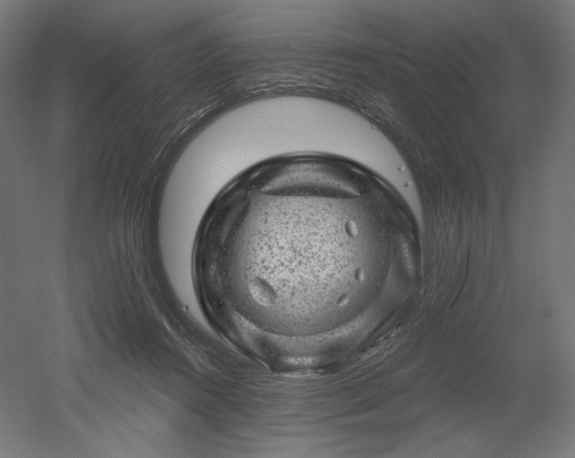 X0000052640360200507011352