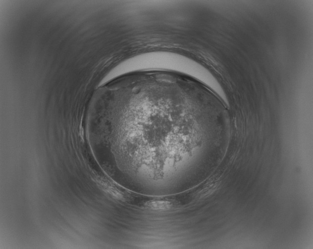 X0000052640361200507011352