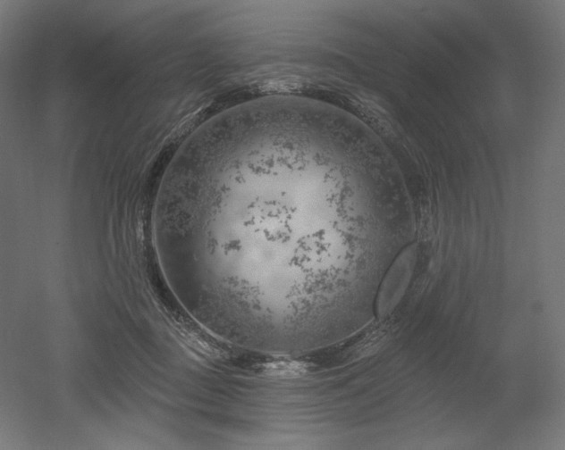 X0000052640363200507011352