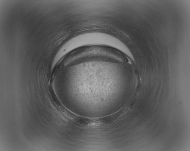 X0000052640364200507011352