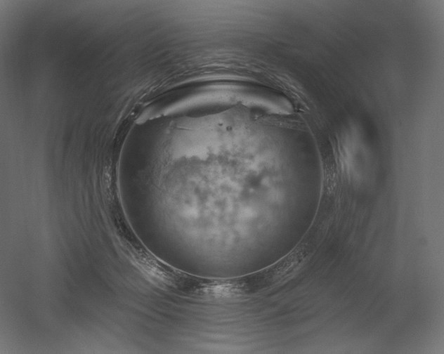 X0000052640365200507011352