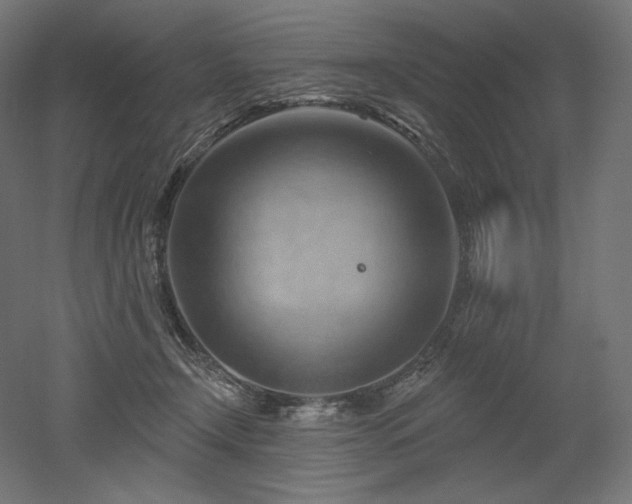 X0000052640366200507011352